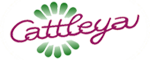 Květiny Cattleya - velkoobchod a maloobchod