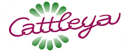 Květiny Cattleya - velkoobchod a maloobchod - květiny, rostliny, bytové dekorace - Jesenice, Tábor, České Budějovice, Praha